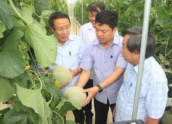 Quảng Trị: Đề xuất phát triển dự án nông nghiệp công nghệ cao quy mô 5.000ha